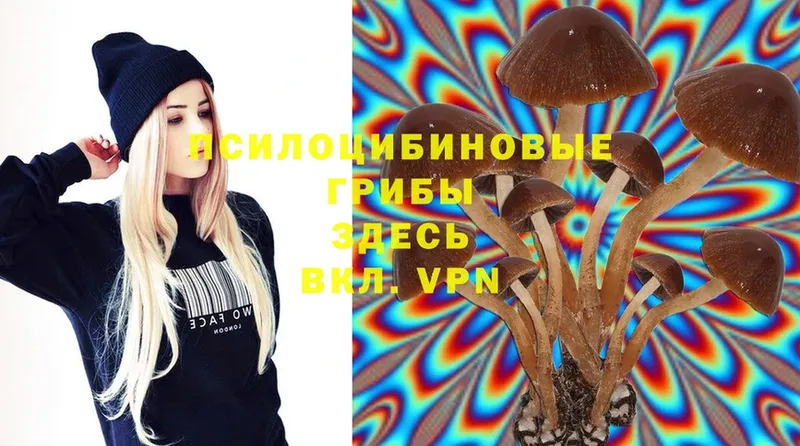 hydra вход  Гурьевск  Галлюциногенные грибы MAGIC MUSHROOMS  как найти закладки 